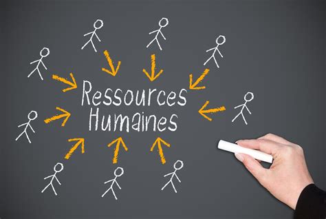 Gestion des ressources humaines